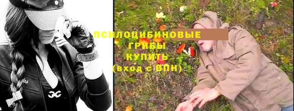 первитин Алексеевка