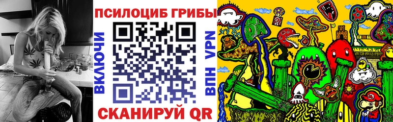 Псилоцибиновые грибы мухоморы  omg зеркало  Хадыженск 